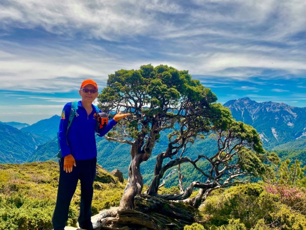 合歡山七連峰的空中花園賞花趣3073098