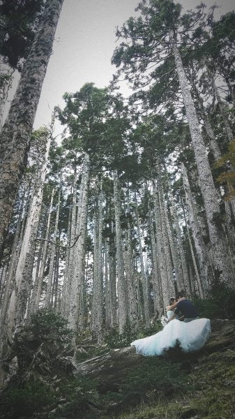雪山 不下雪533120