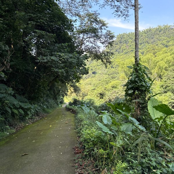 20250927 彰化－臺灣百大必訪步道坑內坑森林步道2969088