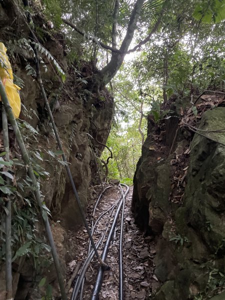 秋日的健行～馬胎古道>南坪古道Ｏ型1872457