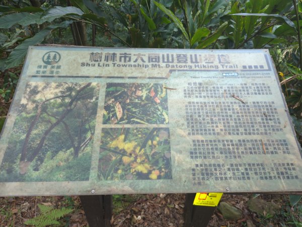 2025.08.30－微笑山線：【大棟山系】2874472