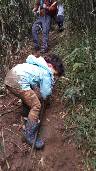 阿興阿賢小觀音山562672