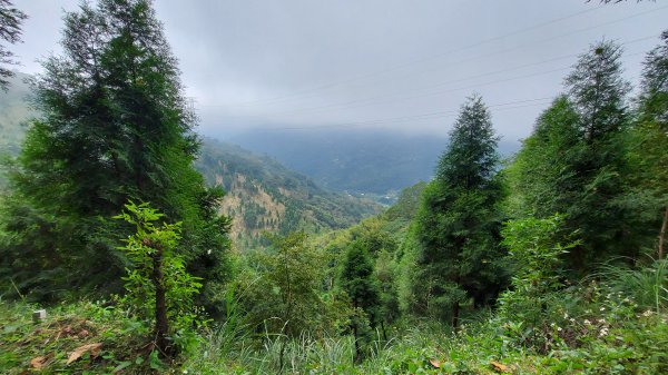 110/12/12田薯縱走O型(田寮山-毬子山-水頭排山-鎮石山-薯園山)1553665