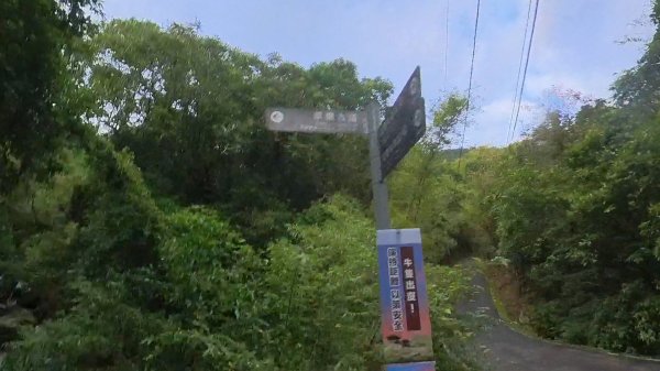 20251115_草嶺古道追芒趣2942946