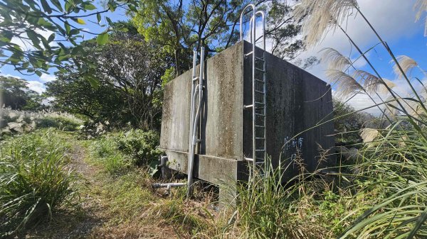 20251217麗水保甲路-麻斯廪水圳步道-大湖古道2964505