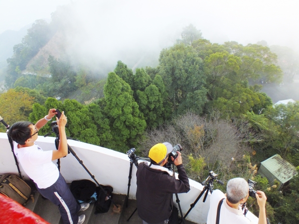 苗栗--薑麻園步道7477
