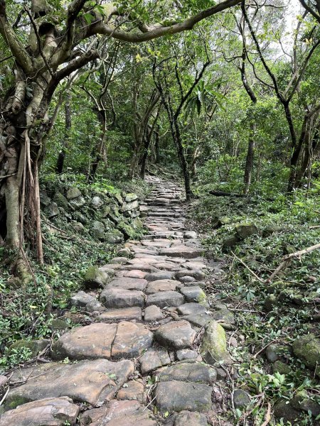 大里車站-灣坑頭山-福隆車站之健行+火車旅行2643899