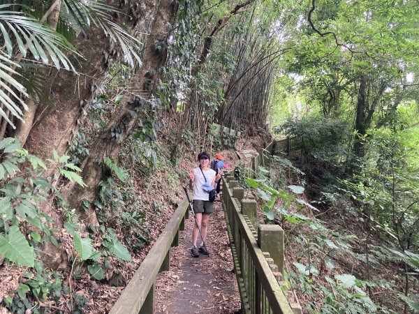 南埔村觀音步道+挑水壢古道2550270