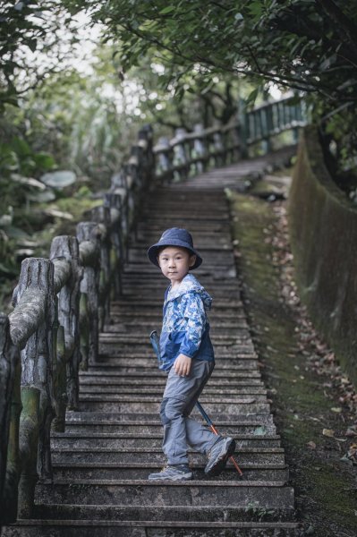 仙氣飄飄-無耳茶壺山1752139