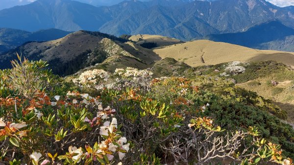 合歡山北峰1377989