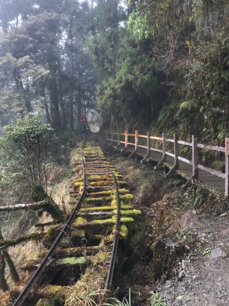 見晴古道。0.9K的抒情浪漫1494520