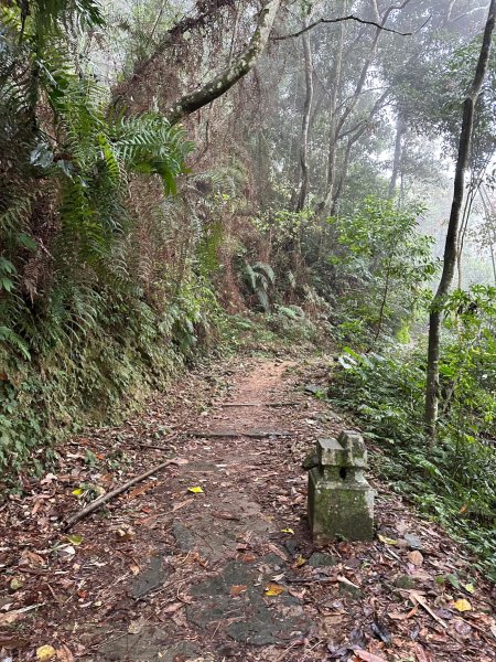 很硬的水社大山很幸運看到大景2388163