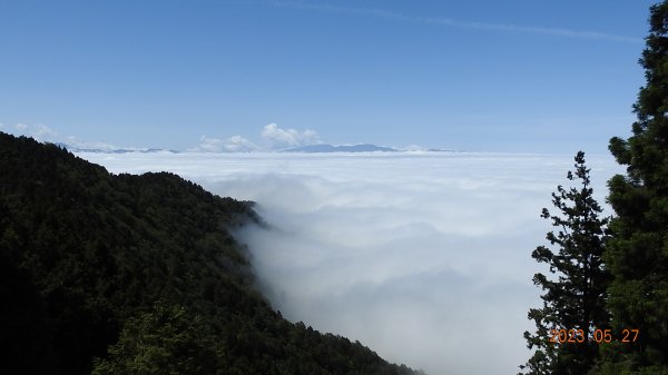 太平山之望洋山&觀雲步道之雲海+觀音圈5/282163459