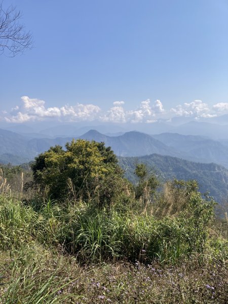 20260219九龍山+崩山+黑石崁山南峰+黑石崁山+凍仔頂山3002573