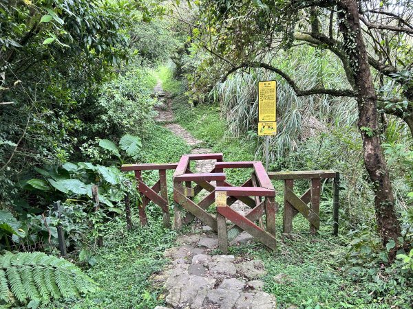 陽明山東西大縱走2786602