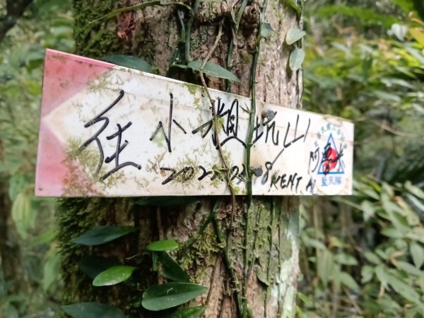 坪林區小粗坑古道+小粗坑山+環山路+楣子寮尖+貴妃池O型2994459