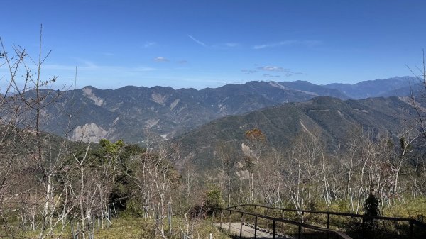 20260214 小百岳藤枝山3003007