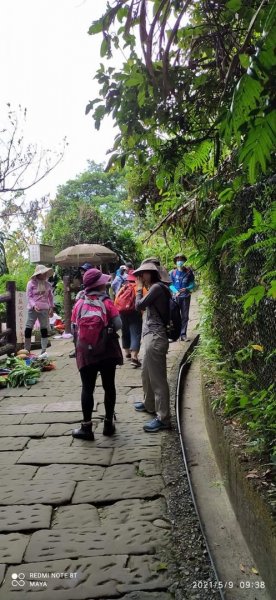 天上山（小百岳集起來）- 前半段路徑和靄可親、後半段面目猙獰1379318