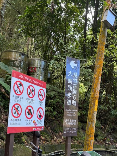 挑竹古道6號走小半天6連峰出孟宗竹林古戰場3108709