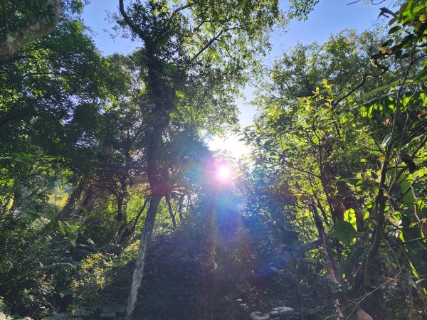 小百岳No.19⛰福德坑山(鳶山)2739693