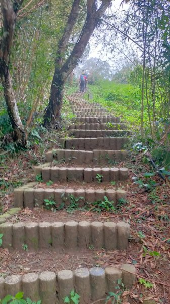 關刀山2645306