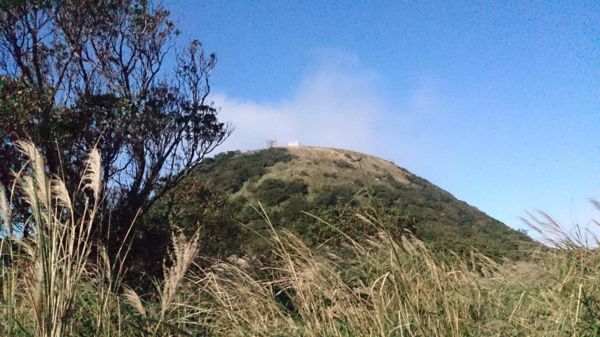 面天山向天山景點333809