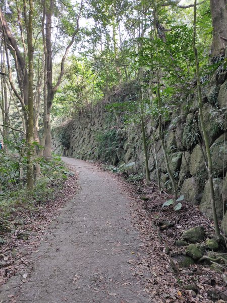 關子嶺大凍山814062