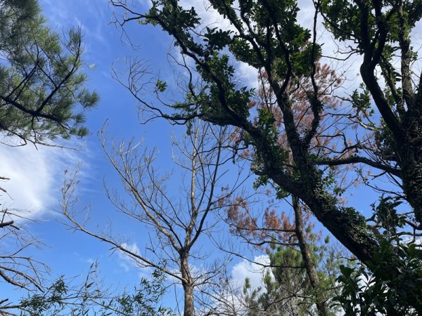 凱達格蘭山2877697