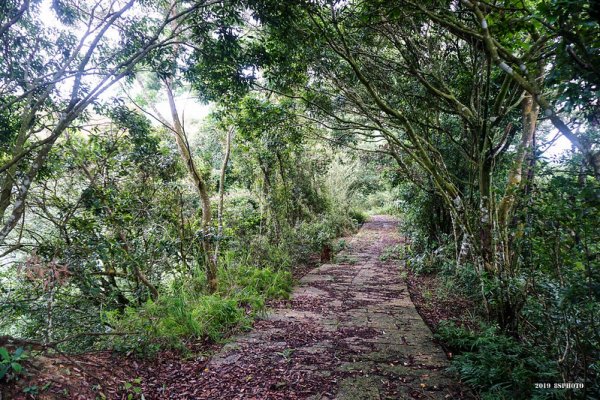 【苗栗】獅潭蕃子寮山