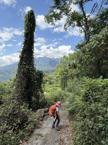 白毛山O繞+臭頭山 202505172791765