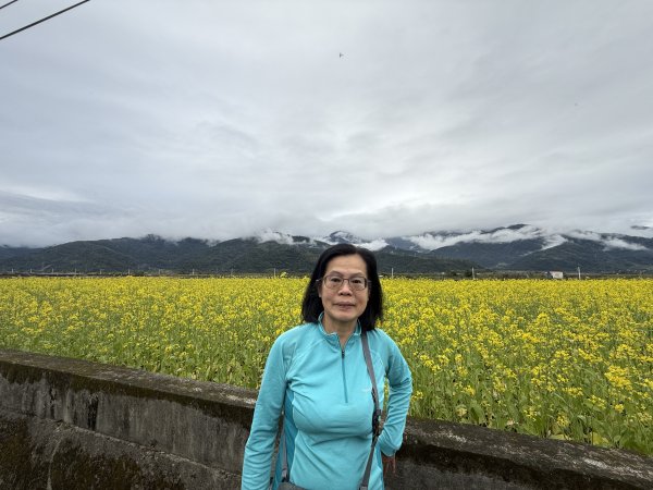 富里油菜花2704804