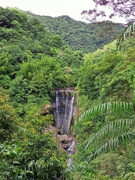 【新北-臺灣百大必訪步道】流水淙淙的三貂嶺瀑布群步道1455424