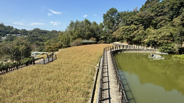 2025/10/15 台北大縱走第7段2916501