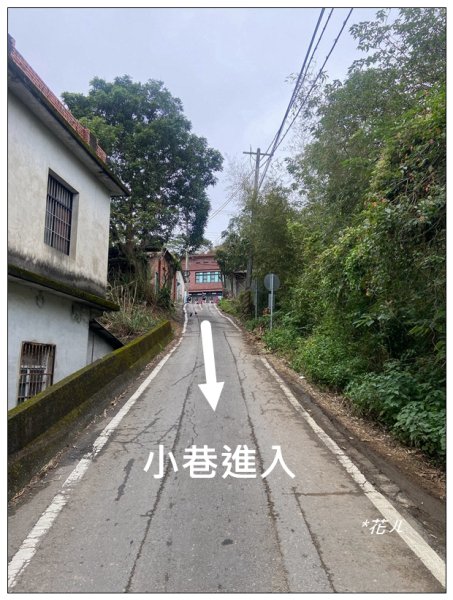 三灣落羽松秘境2676759