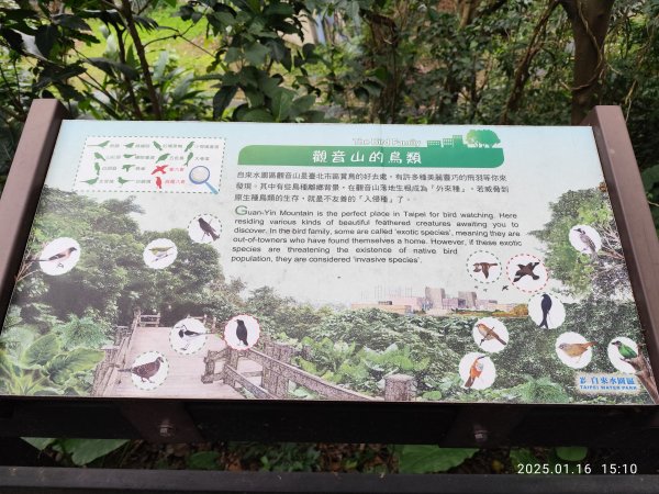 4-4 臺北自來水園區 - 觀音山蓄水池導覽→管材雕塑區→消壓塔→梅園步道2693077