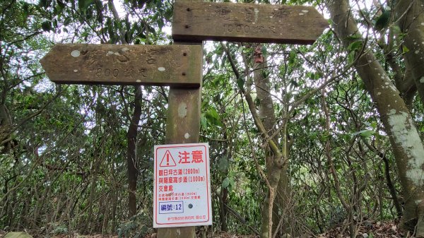 2020-1130飛鳳山O型1193896