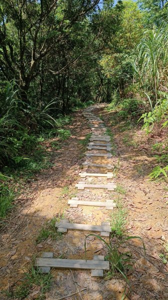 鱷魚頭景觀步道1759535