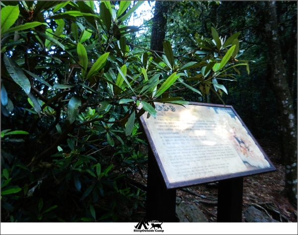 台中和平鳶嘴山稍來山O型縱走260311