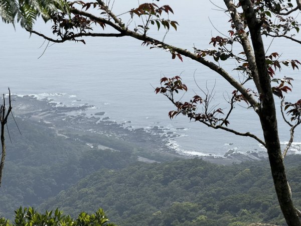 2025/03/12 大溪 桃源谷 灣坑頭山 大里2930533