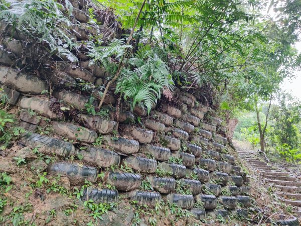 天上山雨中漫步2643236