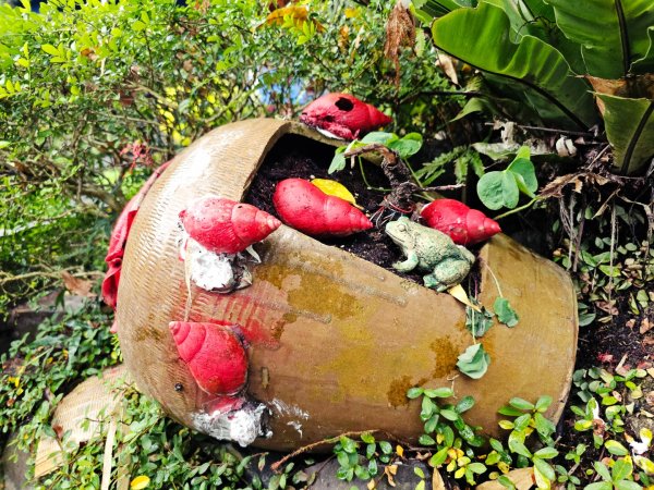 2025臺北大縱走第七段：世界山莊至飛龍步道政大後山2923998