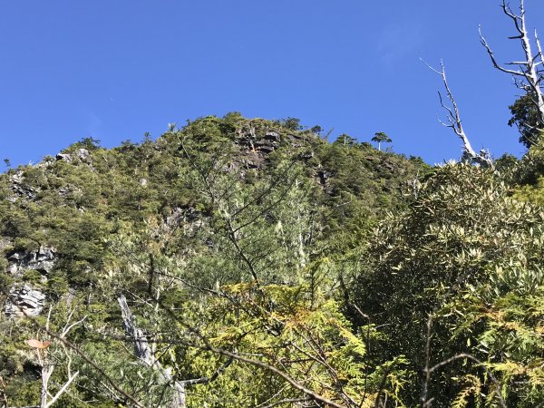 雪白山、西丘斯山、司馬庫斯越嶺古道下100林道1418208