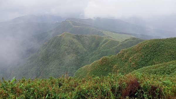 【新北-臺灣百大必訪步道】灣坑頭山→福德山→桃源谷草嶺線→大溪線→蕃薯寮山→大溪火車站1524568