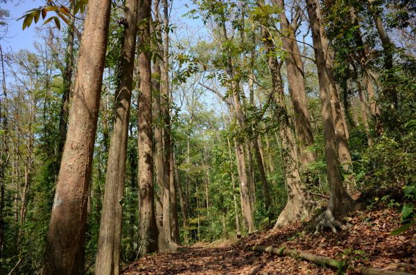 【新聞】快樂登山，就要做好體能確認