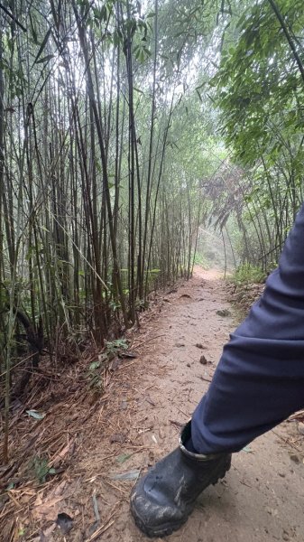 大雨後🙄2845443