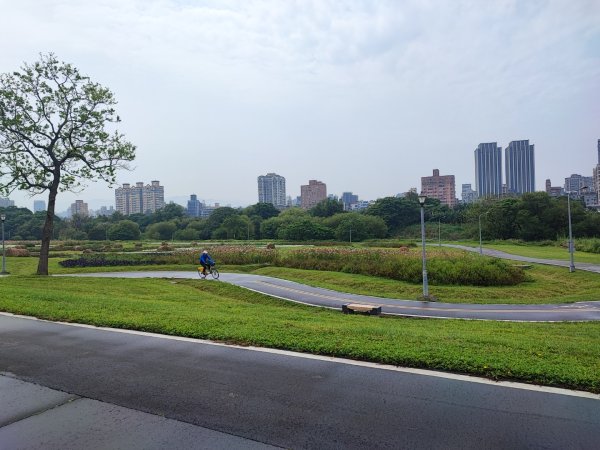 2024年臺北大縱走第八段：捷運動物園站至捷運關渡站2471081