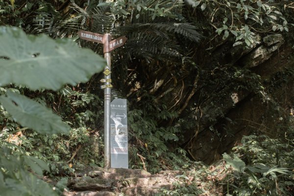 馬胎古道 （馬胎一期、南坪古道、內灣老街）3073809
