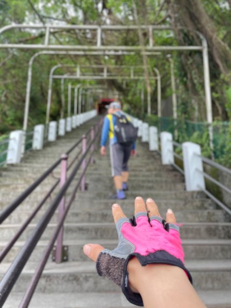 微笑山⛰️線-大棟-二格山-五分山-天上山-鳶山💎12條步道完成💙2841363