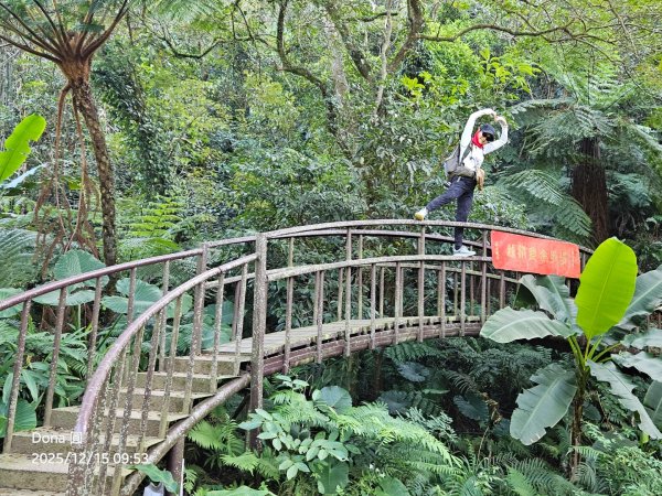 20251215林口森林步道+太平嶺海濱步道2969369