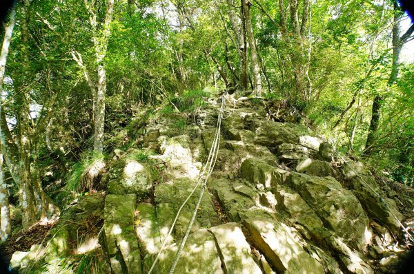 苗栗 泰安 虎山3118675